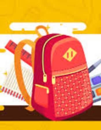 Alam Khan Bag Maker